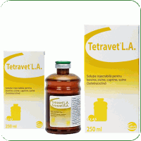 Antibiotice - Tetravet