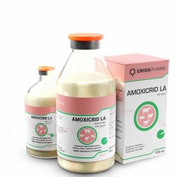 Antibiotice - Amoxicrid L.A.