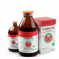 Antibiotice - Clamox RTU