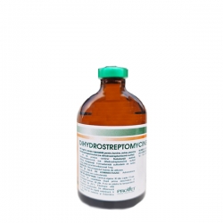 Antibiotice - Dihidrostrptomicyn