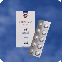 Antiinflamatorii - Carporal tablete palatabile