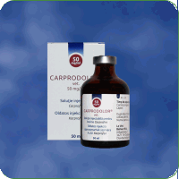 Antiinflamatorii - Carprodolor