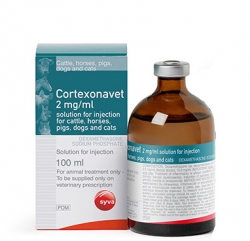 Antiinflamatorii - Cortexonavet