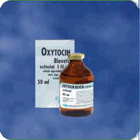 Reproductie - Oxytocin Bioveta