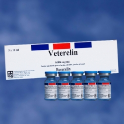 Reproductie - Veterelin