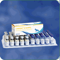 Vaccinuri - Canvac 8 DHPPi-L