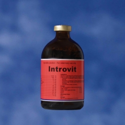 Vitamine, minerale - Introvit