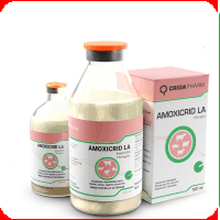 Antibiotice - Amoxicrid L.A.