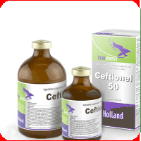 Antibiotice - Ceftionel 50