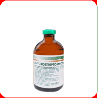 Antibiotice - Dihidrostrptomicyn