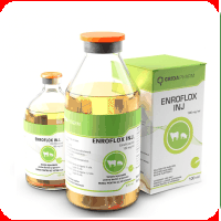 Antibiotice - Enroflox