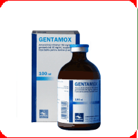Antibiotice - Gentamox