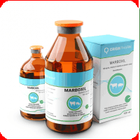 Antibiotice - Marboxil