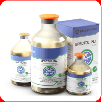 Antibiotice - Spectol