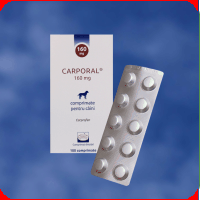 Antiinflamatorii - Carporal tablete palatabile