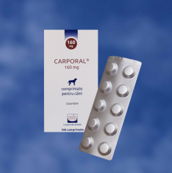 Antiinflamatorii - Carporal tablete palatabile
