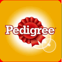 Hrana animale de companie - Pedigree