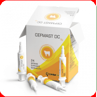 Reproductie - Cefmast DC