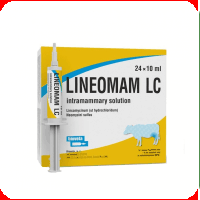 Reproductie - Lineomam