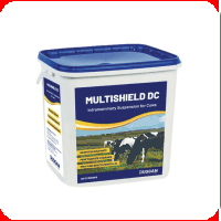 Reproductie - Multishield D.C.