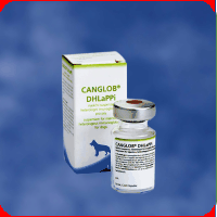 Seruri - Canglob DHPPi
