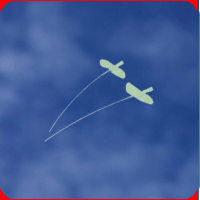 Specialitati animale companie - Catere Tom Cat