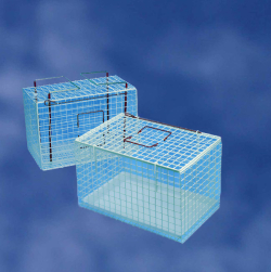 Specialitati animale companie - Custi pisica