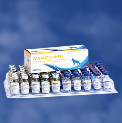 Vaccinuri - Canvac 8 DHPPi-L