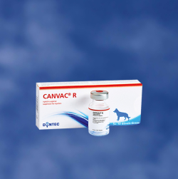 Vaccinuri - Canvac R